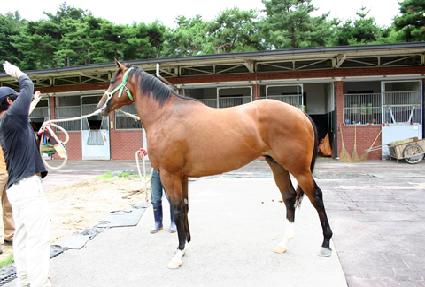 �������� ����