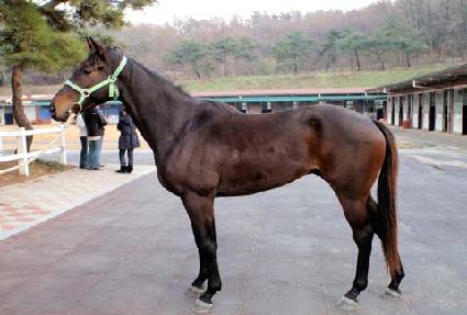 ��������� ����