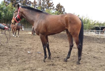 �Ǻ�Ʊ׸� ����