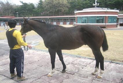 �������� ����