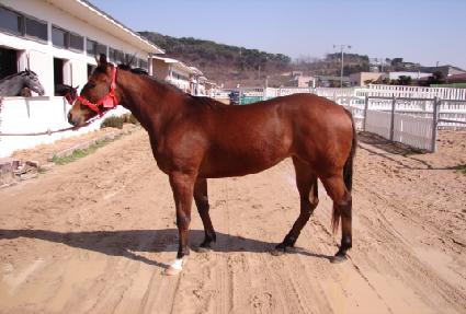 �»��̷� ����