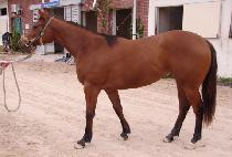 ����Ʈ (MARUT) ����