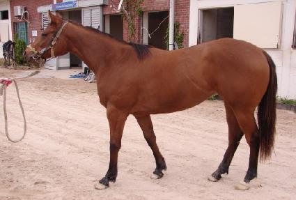 ����Ʈ ����