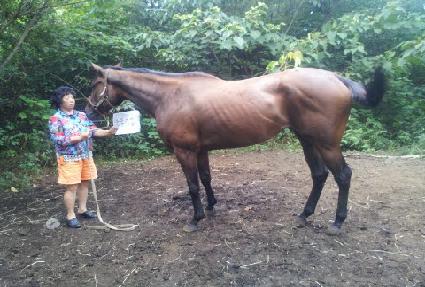 �Ҳɱ�� ����