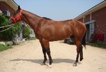 ������ (DAEJI ONE) ����