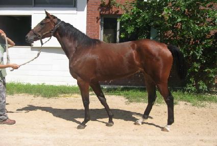 �������� ����