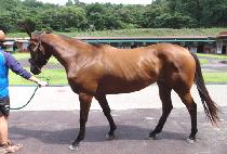 �������� (UJIN YEOJE) ����