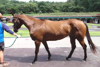 �������� ����