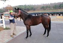 �Ҹ����� (NILLIRIA) ����