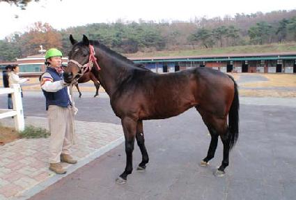 �Ҹ����� ����