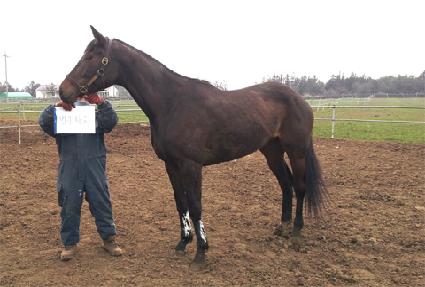 �����Ŀ� ����