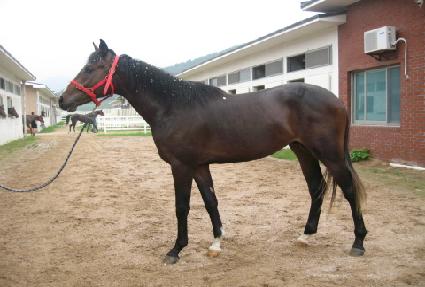 ���ö�� ����