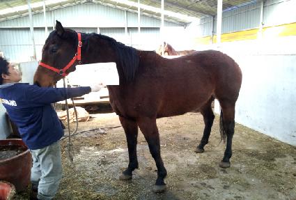 ���ѿ�� ����