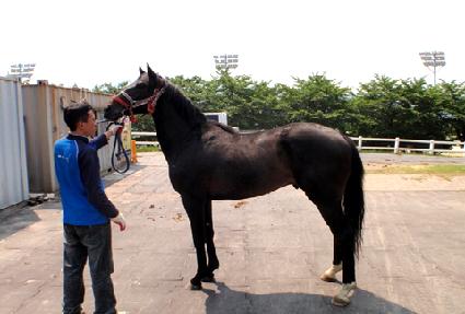 ��ú��� ����