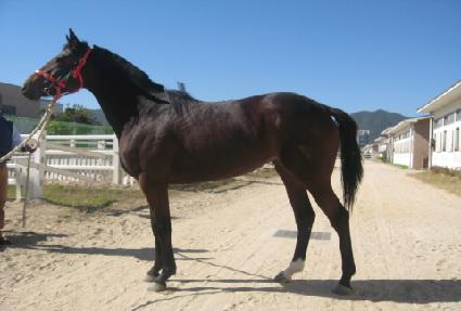 ���帮�� ����