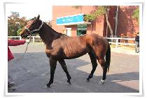 ���긮������ (EVERYTHING TO ME) ����