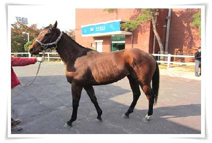 ���긮������ ����