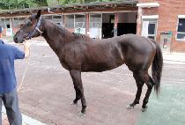 �ż��Ⱝ�� (SINSEGIGANGJA) ����