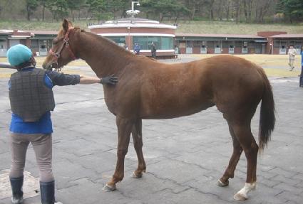 ��� ����