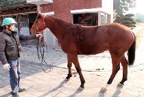 ����Ǵٸ� (HUIMANGUI DARI) ����