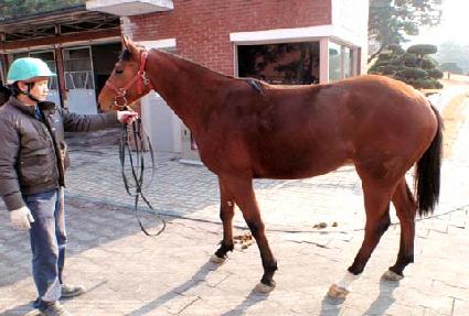 ����Ǵٸ� ����