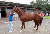 �½¸��� (SEUNGSEUNGMANSEUNG) ����