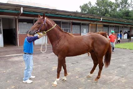 �½¸��� ����