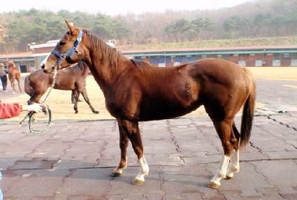 ���� ����