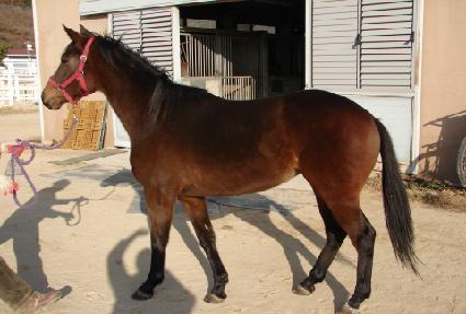 ũ��Ÿ ����