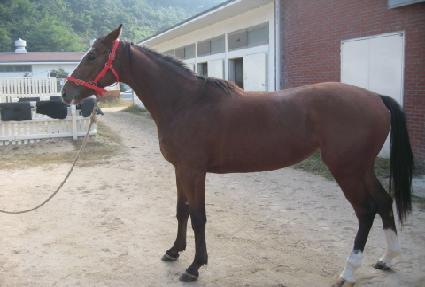 ������ ����