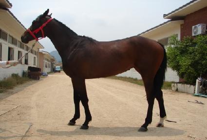 ������Ƽ ����