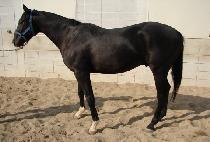 ���������� (HIDDEN POSITION) ����