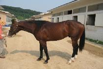 ���丮������ (VICTORY PRINCE) ����