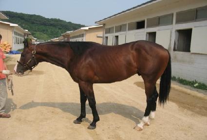 ���丮������ ����