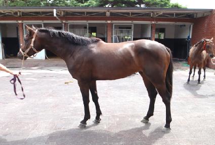 �¾��ǿ� ����