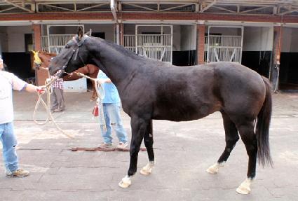 ���ŵ� ����