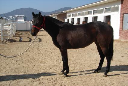 ������������ ����