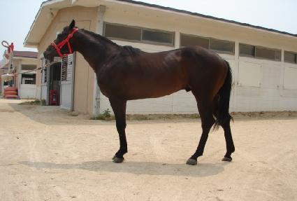 ���ѻ�� ����