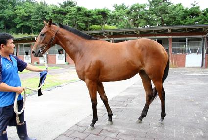 ���õ�� ����