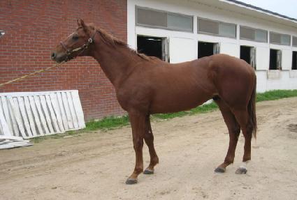 ��ǳ���� ����