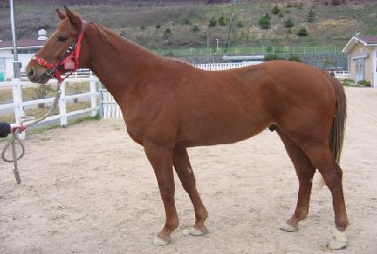 ���� ����