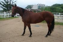 â���Ϸ� (CHANGGONGILO) ����