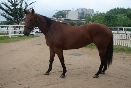 â���Ϸ� ����