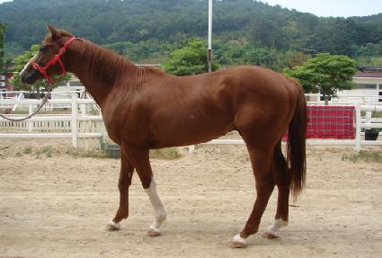 �����Ӵ� ����