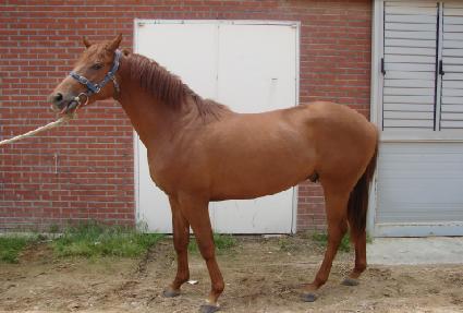 �ݺ����� ����