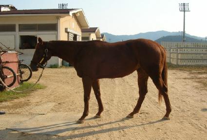 ����ŷ ����