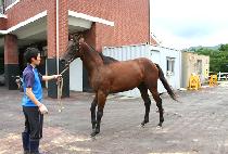 �����ǹл� (DAEJEUIMILSA) ����