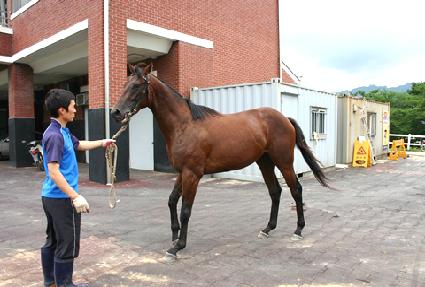 �����ǹл� ����