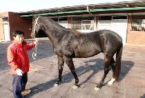 �������� (YEOPOYONGJANG) ����