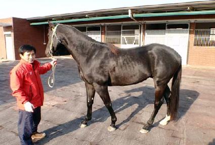 �������� ����